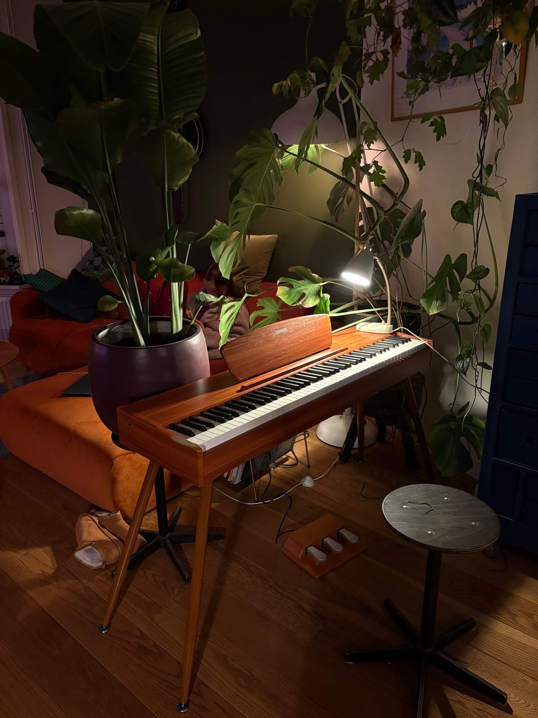 Customer photo review of Donner DDP-80 Wooden Digital Piano