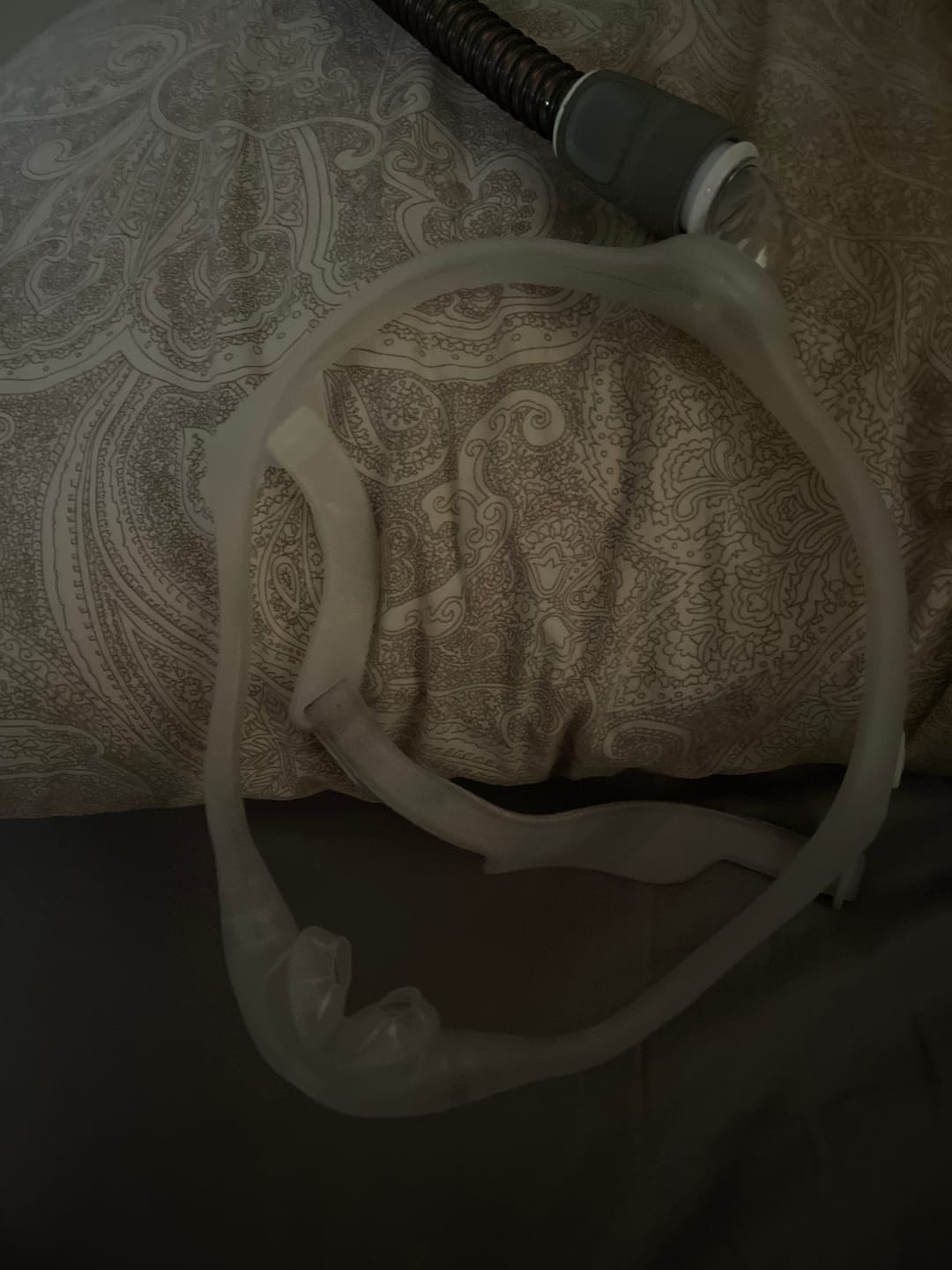 Customer photo review of Philips Respironics DreamWear Nasal Pillow CPAP Mask with Headgear, FitPack
