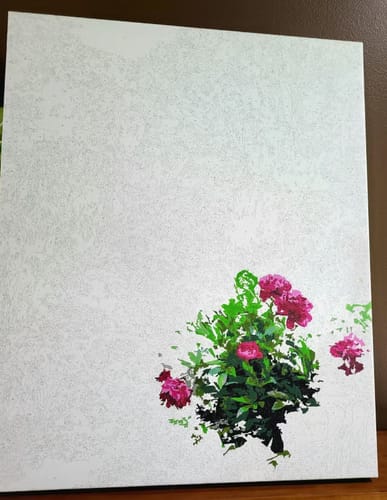 Customer photo review of Custom Landscape Paint By Numbers