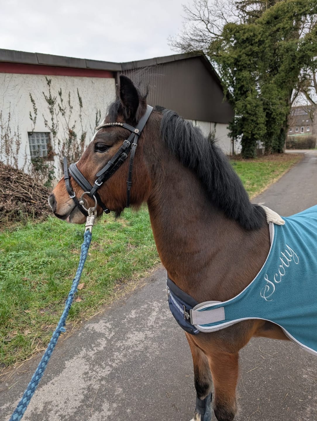 Customer photo review of MUSTAX Nervenstabil