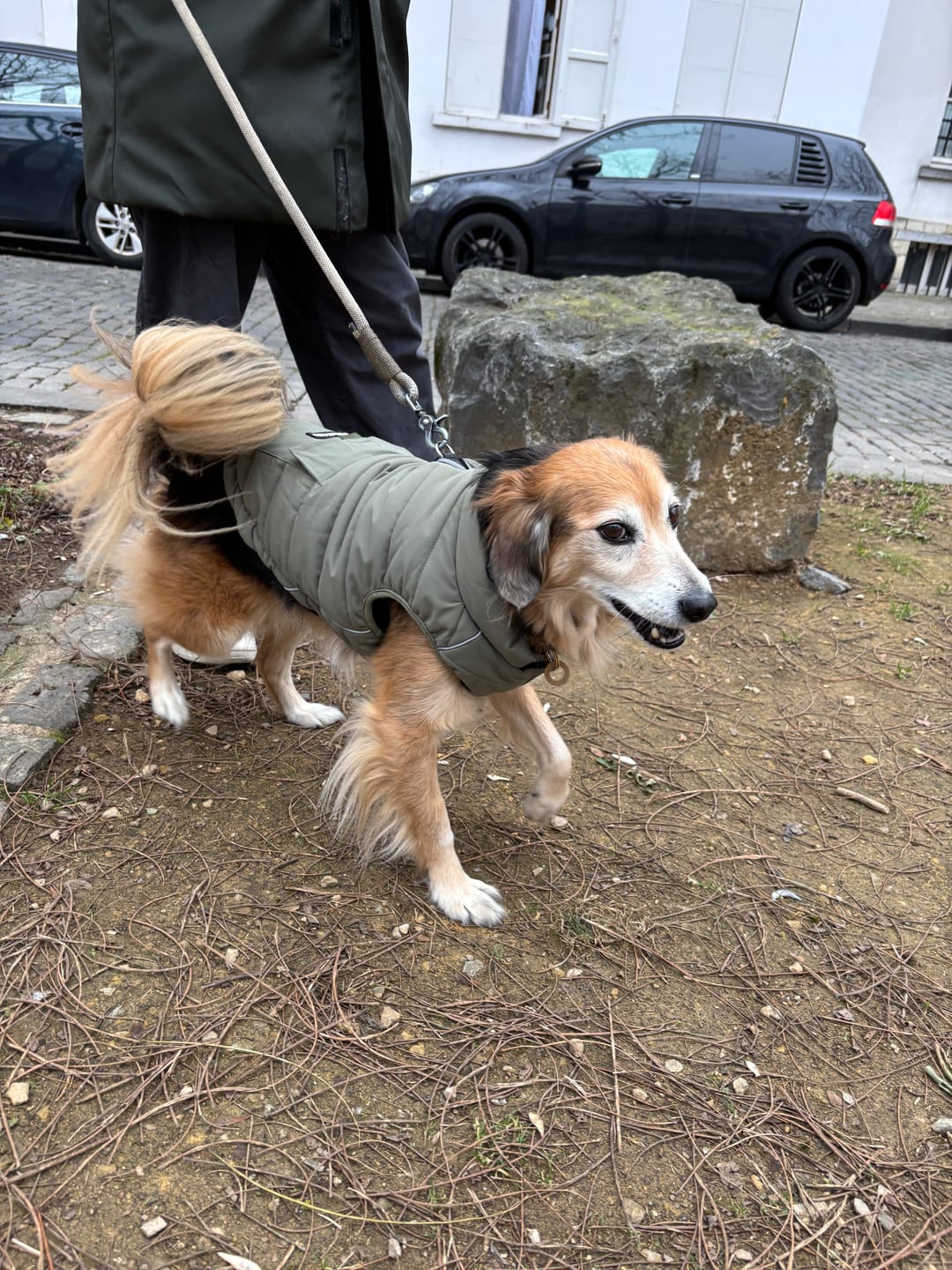 Customer photo review of WarmShield Water-Resistant Jackets