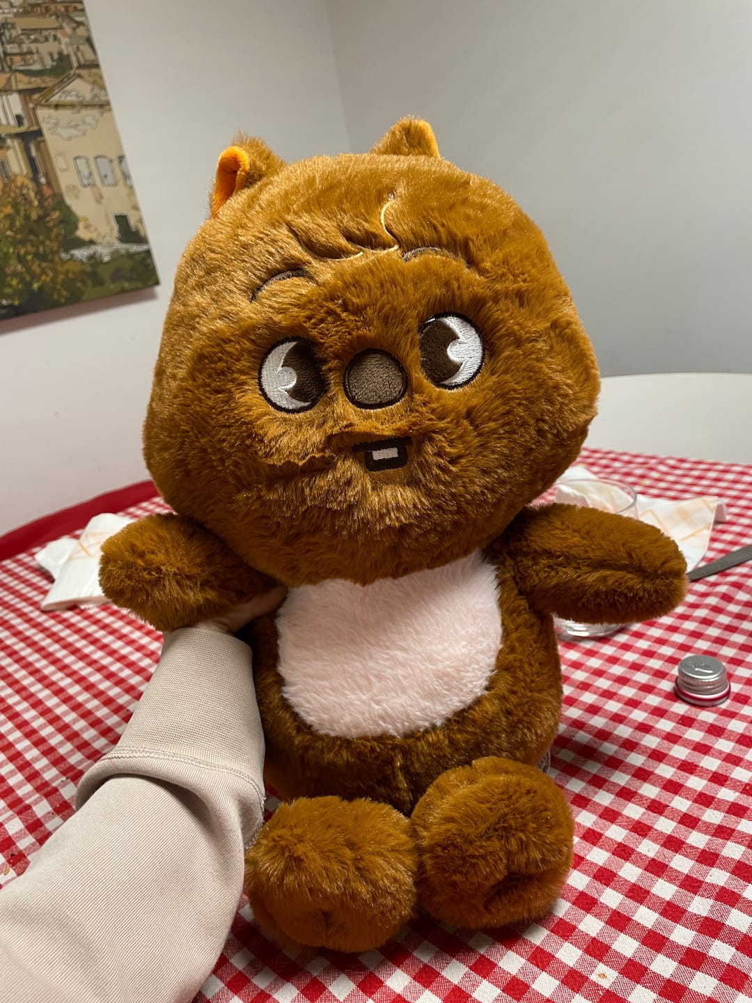 Customer photo review of SKZ Teddybear Plush
