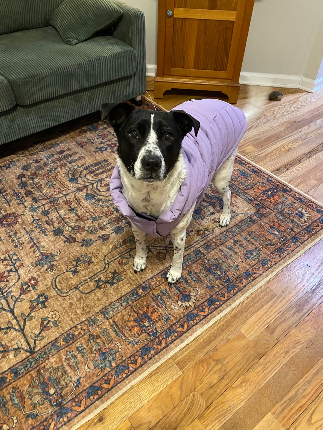 Customer photo review of WarmShield Water-Resistant Jackets