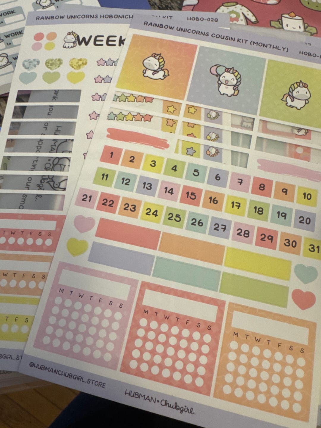 Customer photo review of Rainbow Unicorns Theme Hobonichi Cousin Monthly Kit (Set of 2)