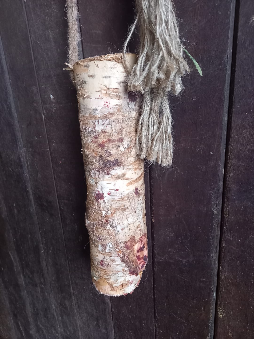 Customer photo review of Knusperholz - limitiert! Der natürliche Knabberspaß für dein Pferd