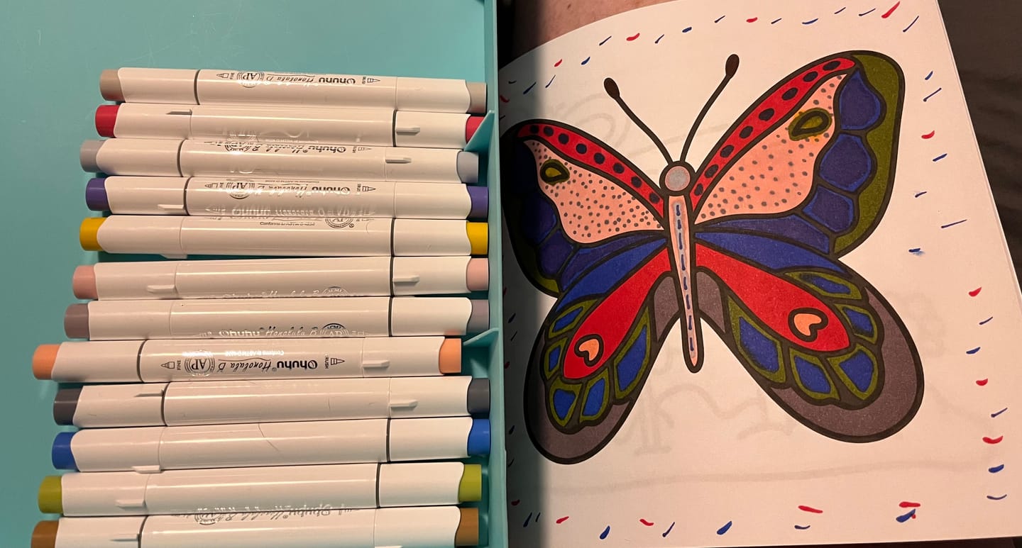 Customer photo review of Mystery Pallette of Ohuhu Alcohol Markers with Brush Tips + Wook Books Holographic Marker Bag