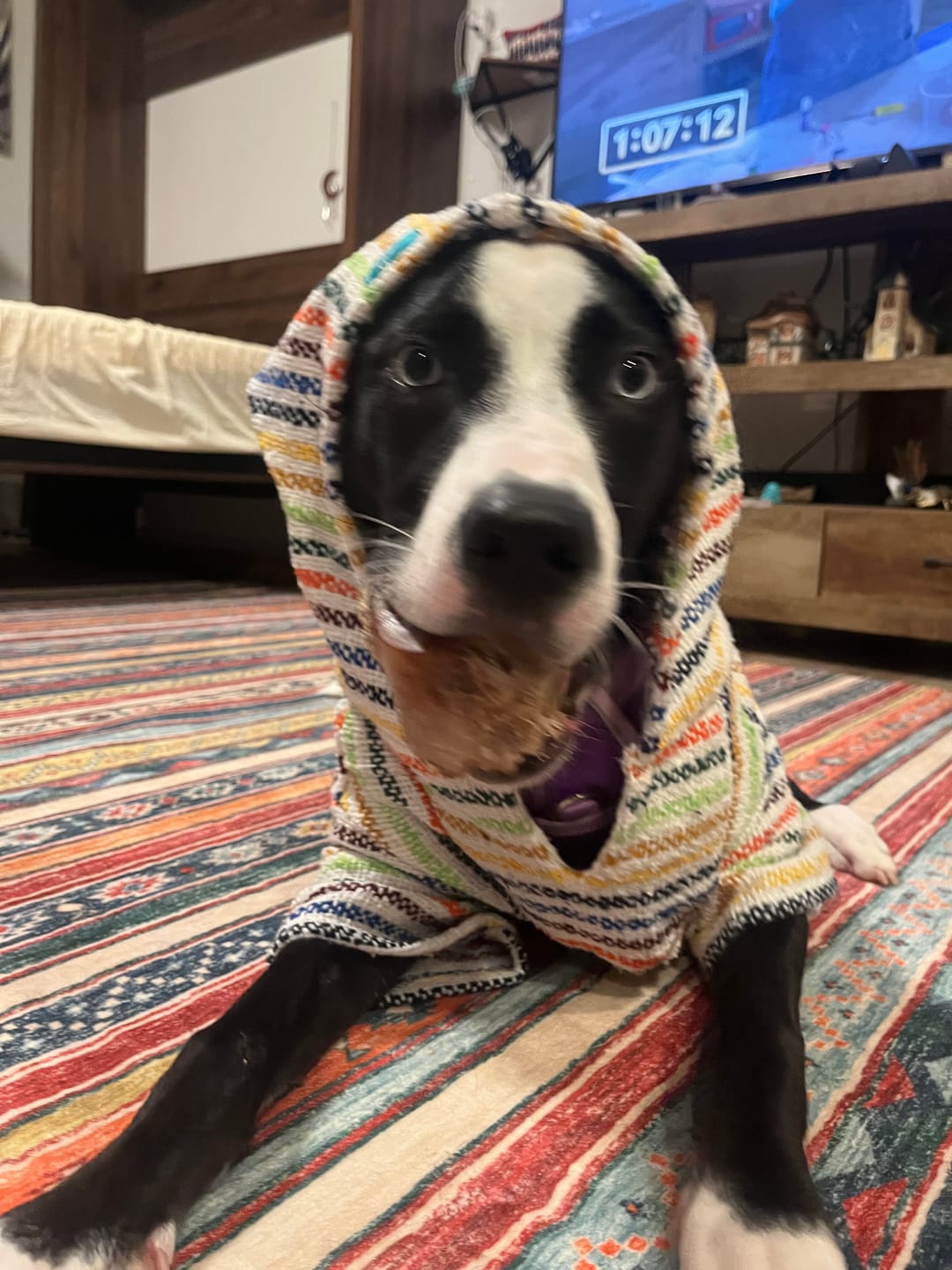 Customer photo review of Playa Poncho – Mystery Color (Bella, Charlie, or Fun Edition)