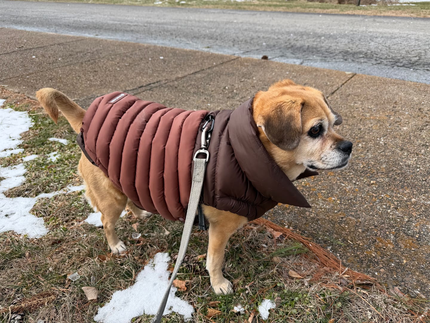 Customer photo review of PuffShield Winter Jackets