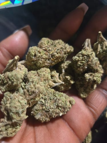 Customer photo review of Shipping Protection by Route