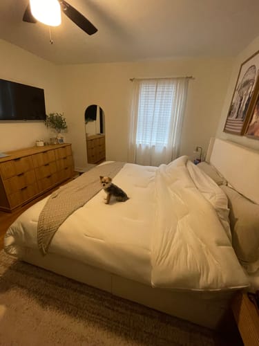 Customer photo review of MarshMellow Comforter