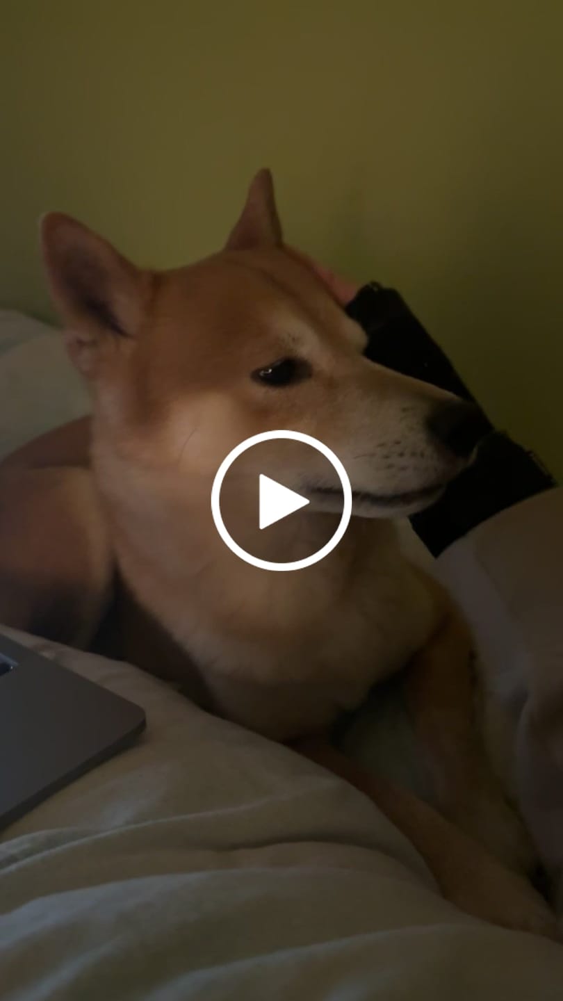Customer video review of Allergietest Pro Hund