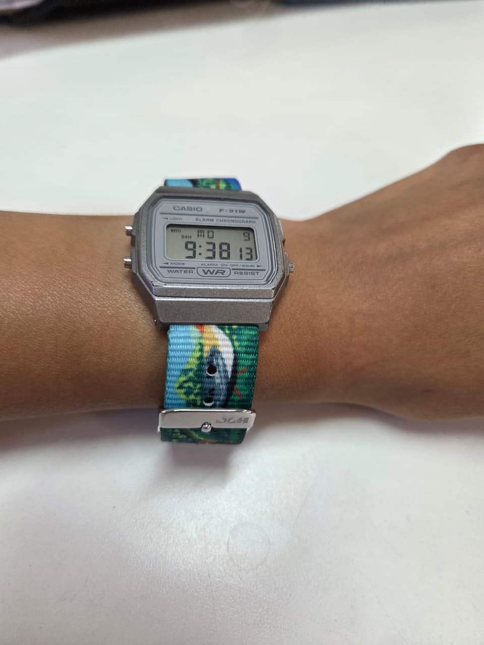Customer photo review of Correa Dando La Hora Colección Naturaleza Chilena [Sur]