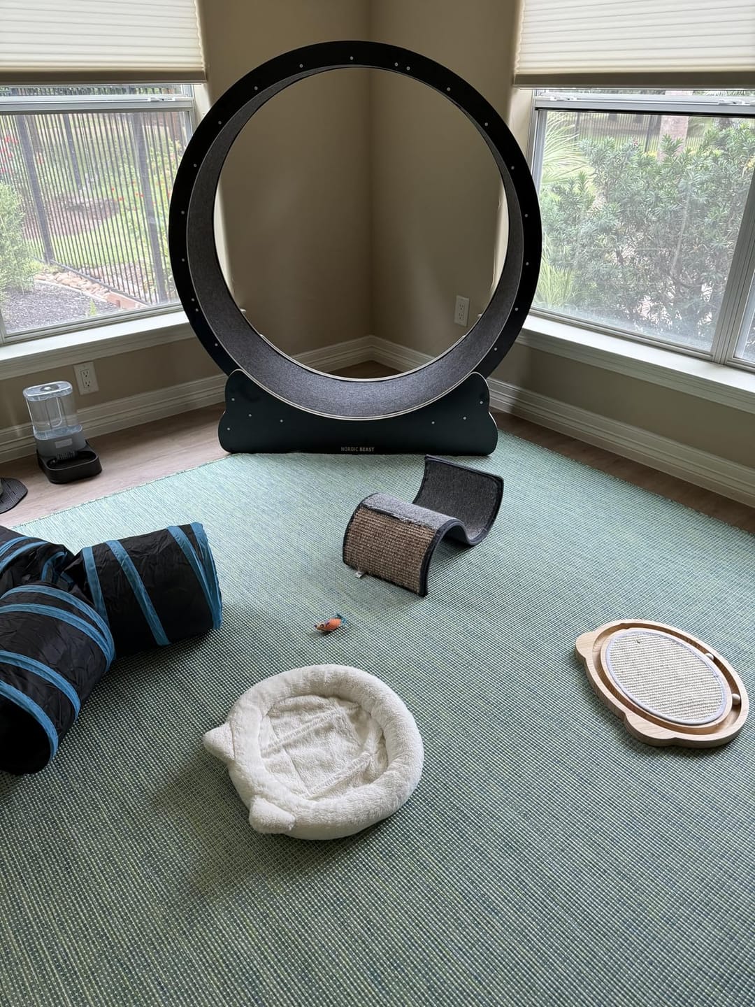 Customer photo review of Nordic Beast Cat Wheel — Built for Large, High Energy Indoor Cats