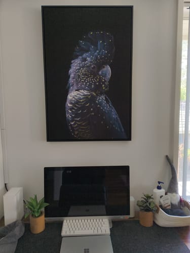 Customer photo review of Coat Of Stars, Black Cockatoo, Style A