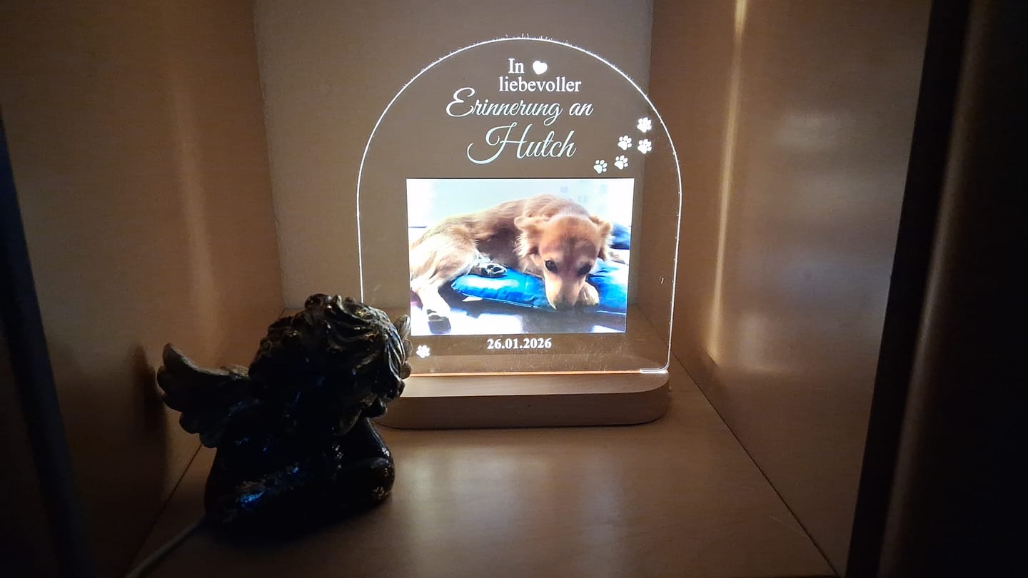 Customer photo review of Zur liebevollen Erinnerung – LED-Lampe für Hund/Katze