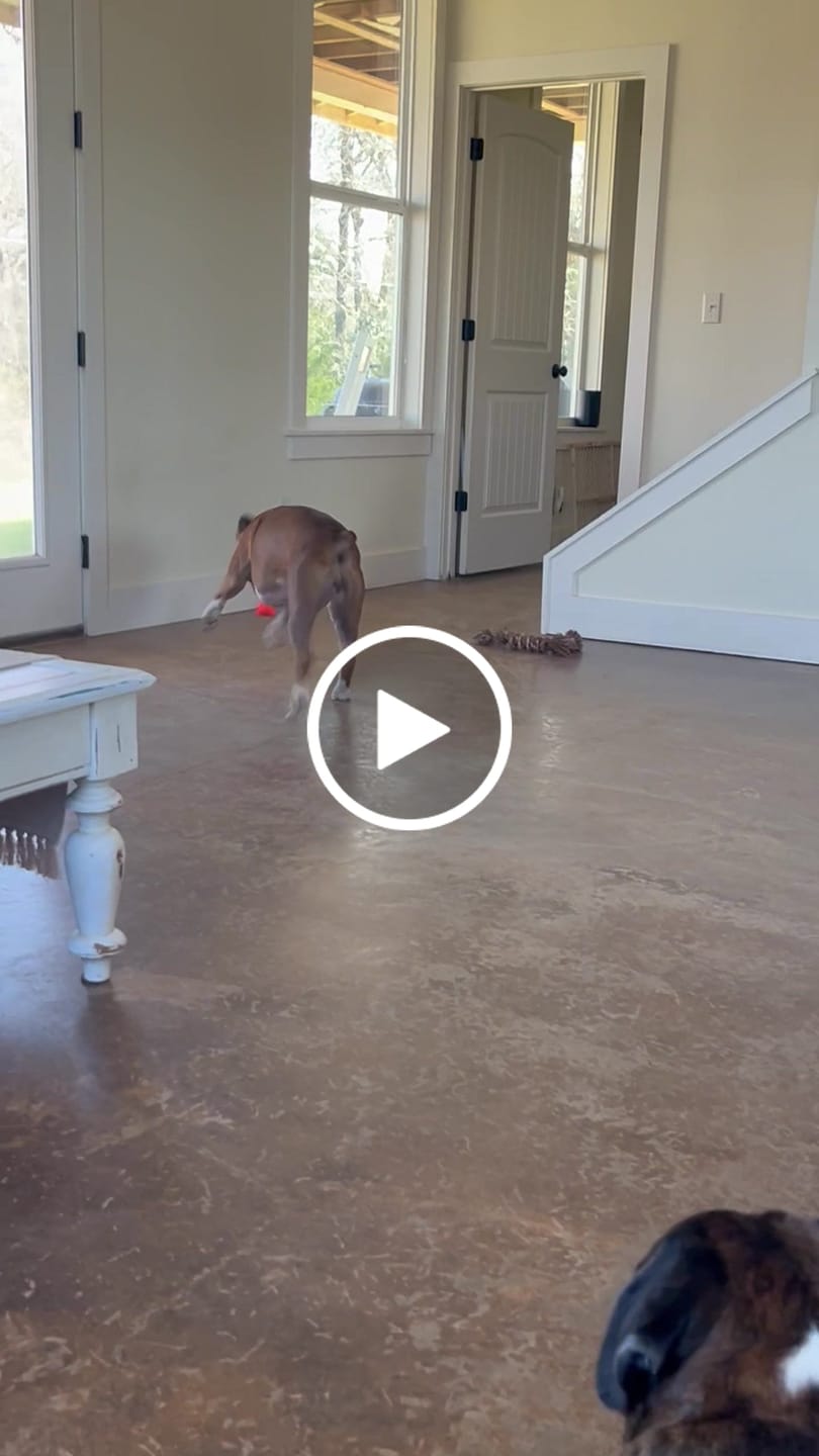 Customer video review of Bovine Colostrum+ - Cellular Recovery & Defense Matrix (2.5 oz) (30 Servings)