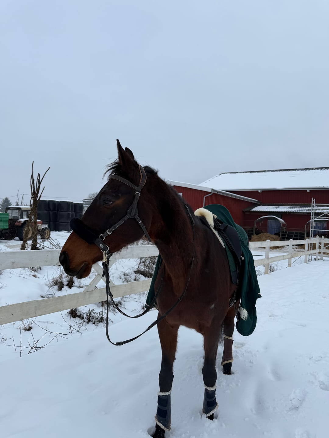 Customer photo review of Engel - Korrektur Aufpolster Schabracke