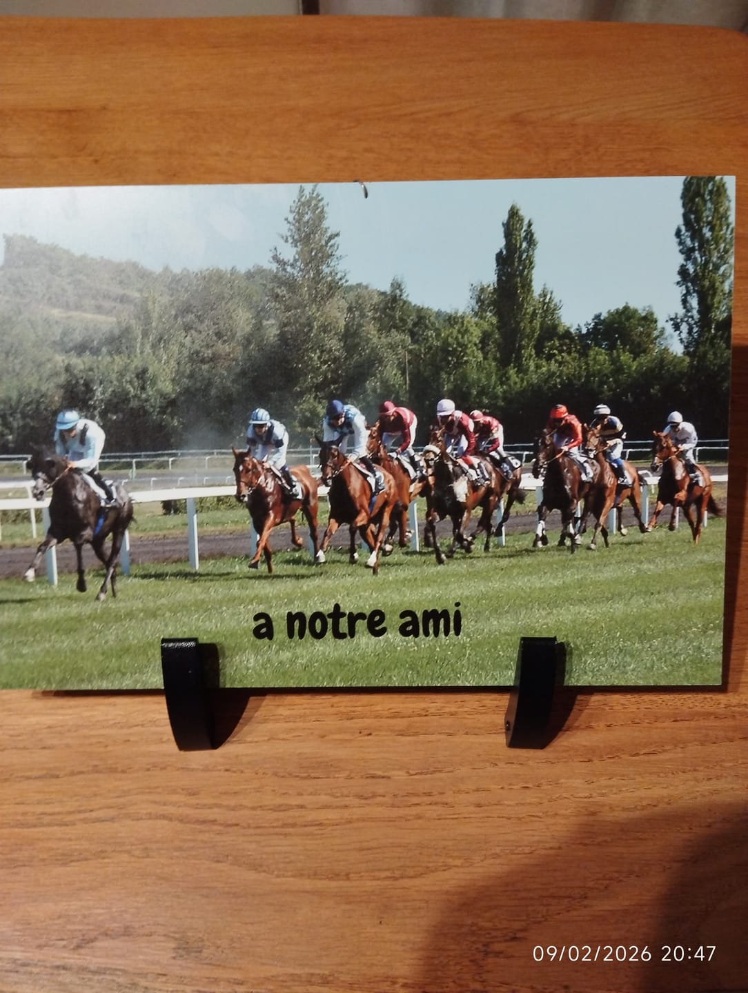 Customer photo review of Plaque Funéraire Course Hippique