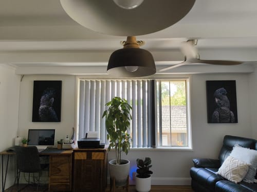 Customer photo review of Coat Of Stars, Black Cockatoo, Style B