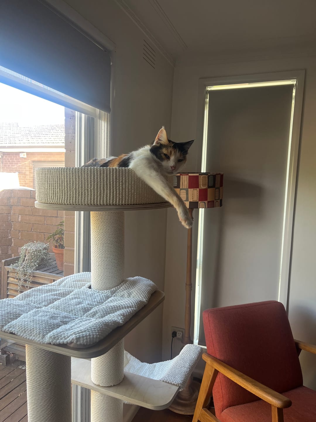 Customer photo review of Michu Luna Multi-Layer Solid Wood Cat Nest Tree