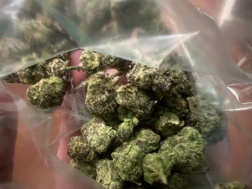 Customer photo review of FREE SAMPLE (with code) THCa Flower