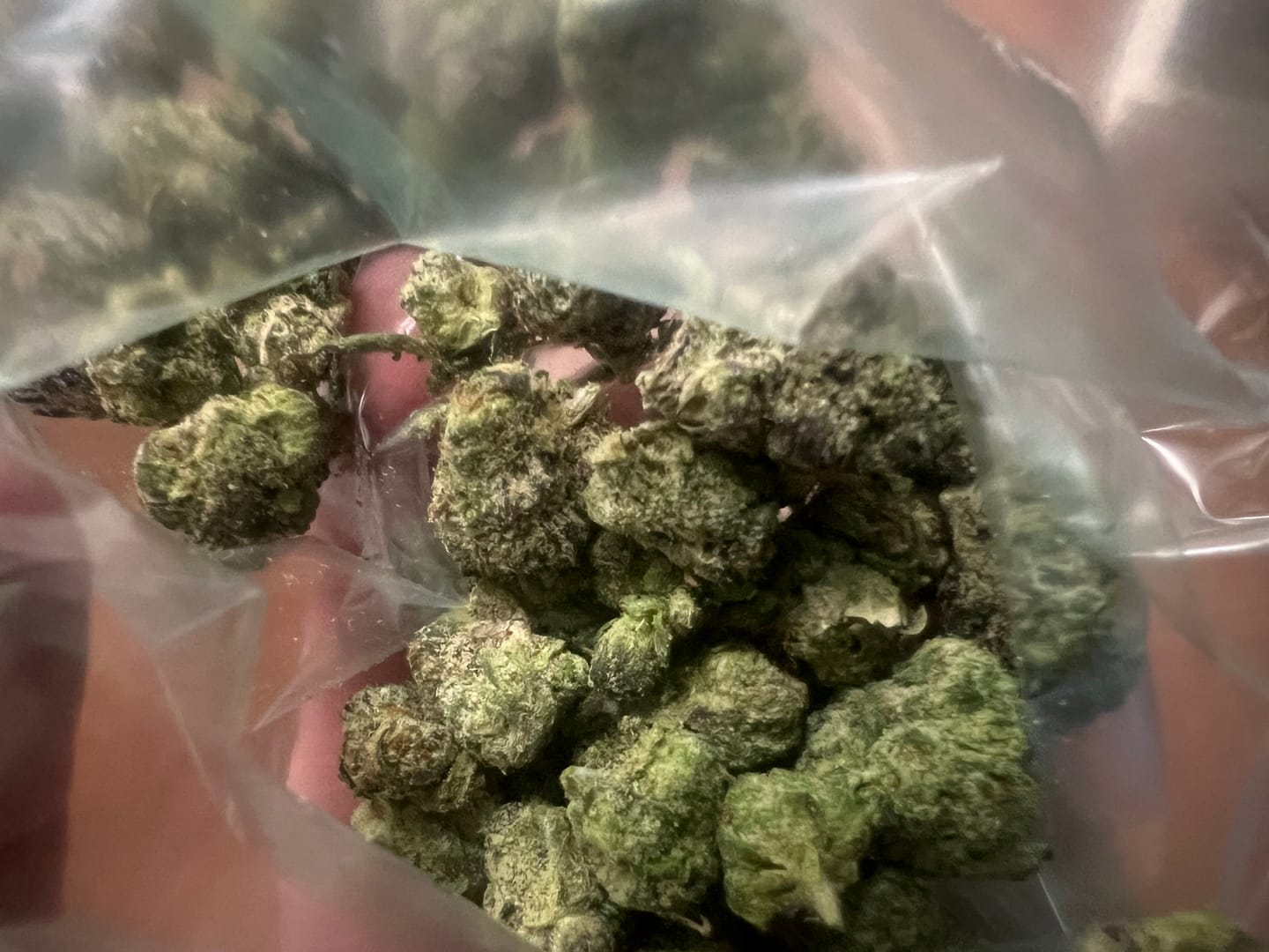 Customer photo review of FREE SAMPLE (with code) THCa Flower