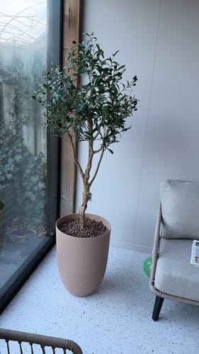 Customer photo review of Bloempot Elho Sereh Koele Klei 40cm