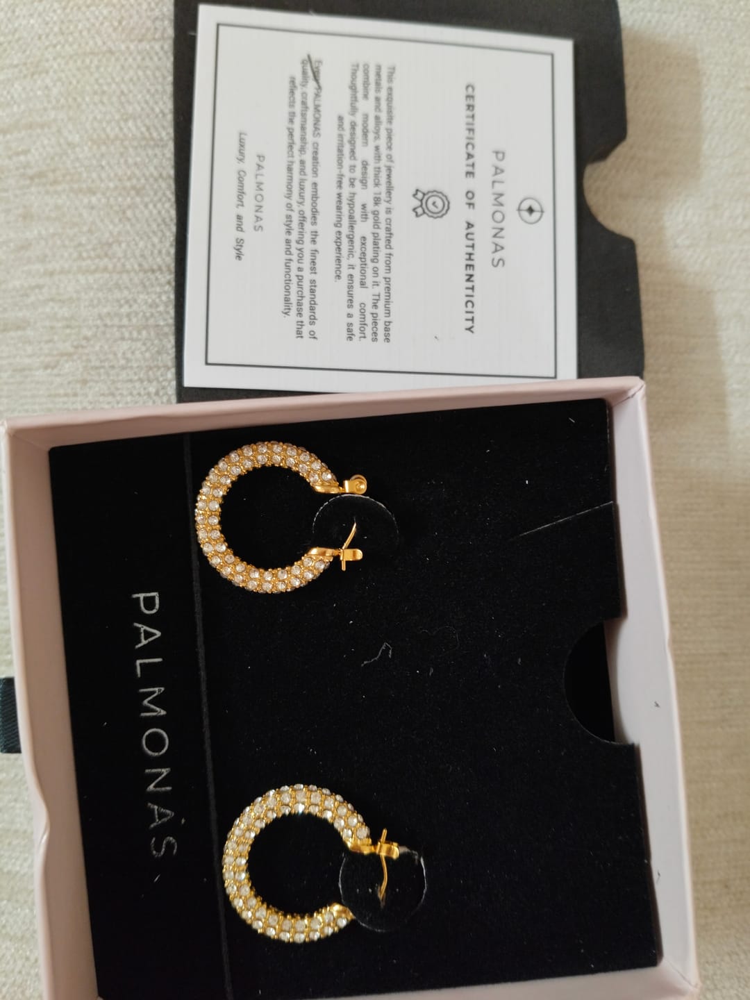 Customer photo review of Diamond Studded Hoop Earrings