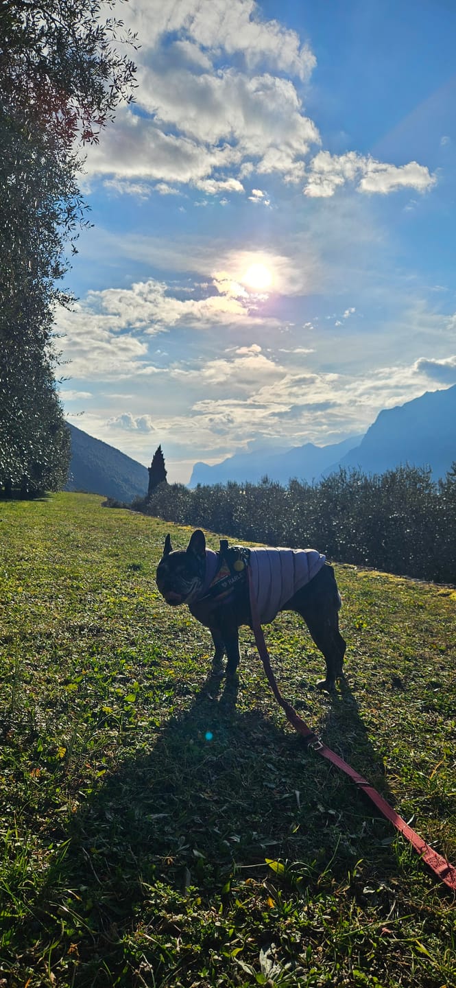 Customer photo review of PuffShield Winter Jacket -  Purple