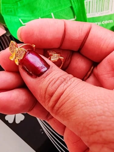 Customer photo review of Butterfly Earrings For Women Girls Modern Gold Color Stainless Steel Earrings 2026 Trend New in Wedding Aesthetic Jewelry Femme