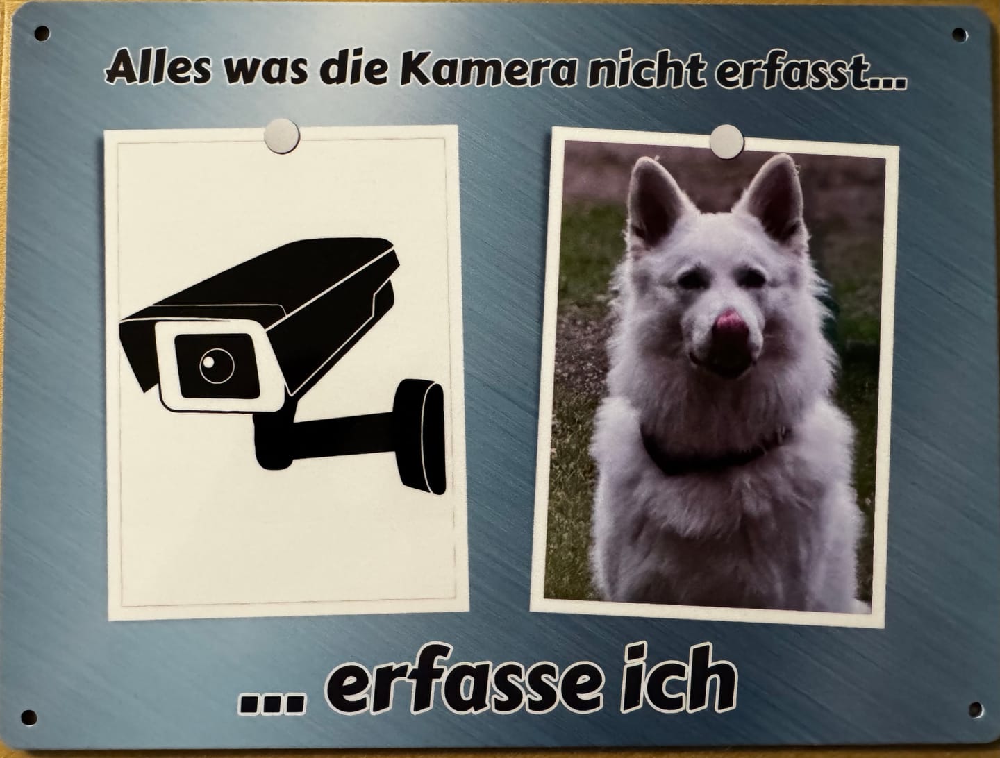 Customer photo review of Hunde-Türschild personalisiert mit Foto & Text (UV- und wetterfest)