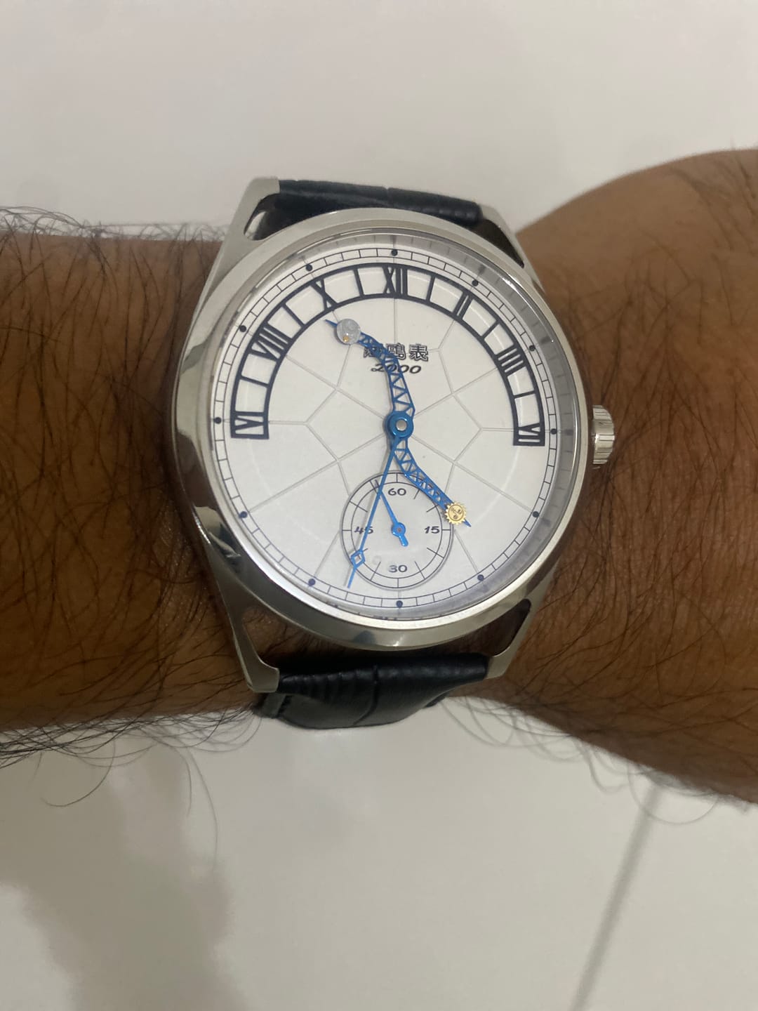 Customer photo review of Twelve Zodiac Signs Century Clock Themed Commemorative Watch 43mm