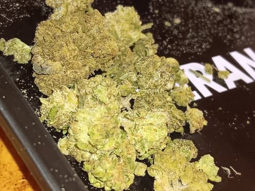 Customer photo review of Cheap THCA Smalls Ounce