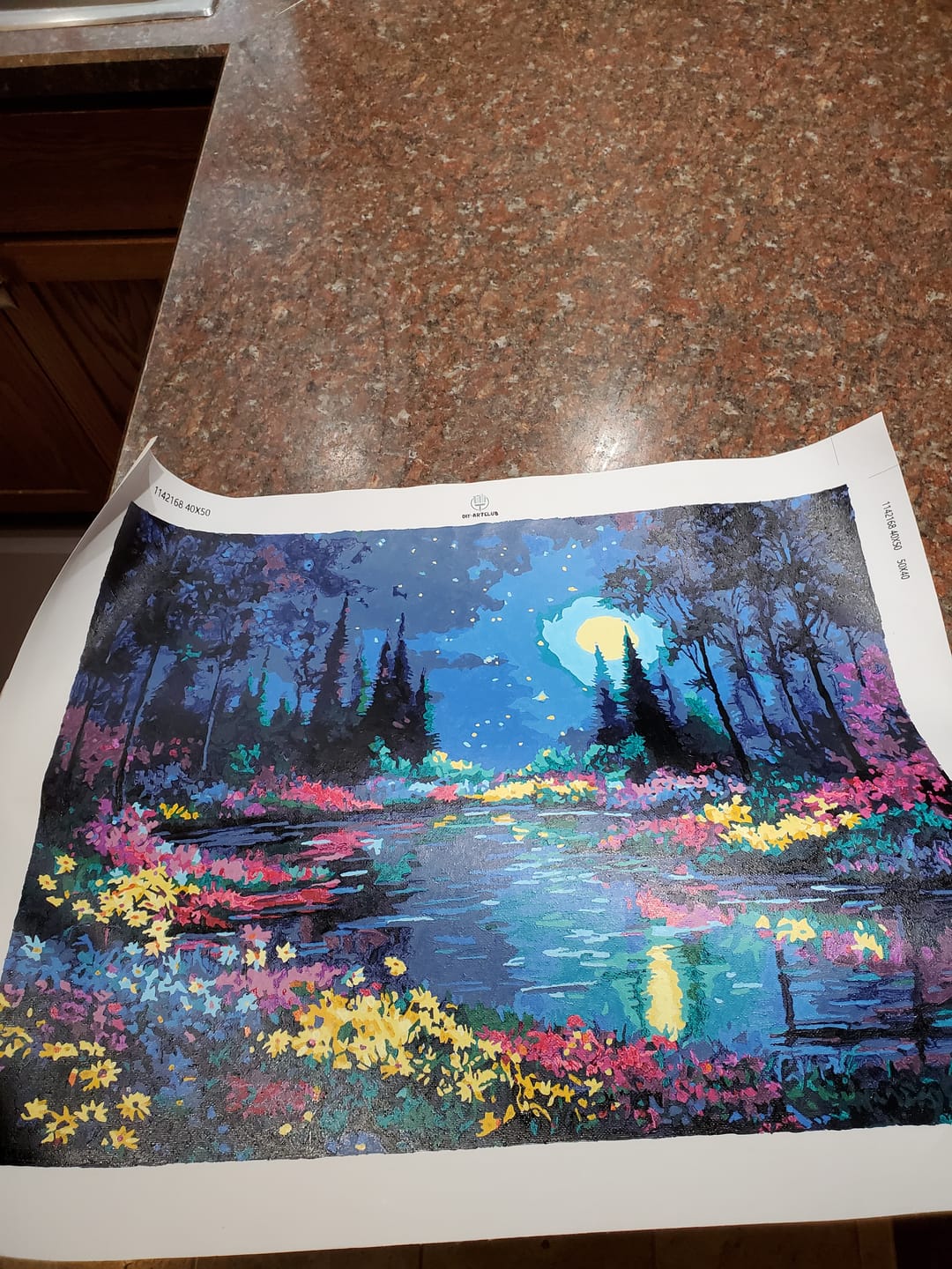 Customer photo review of Starry night garden | Paint by Number