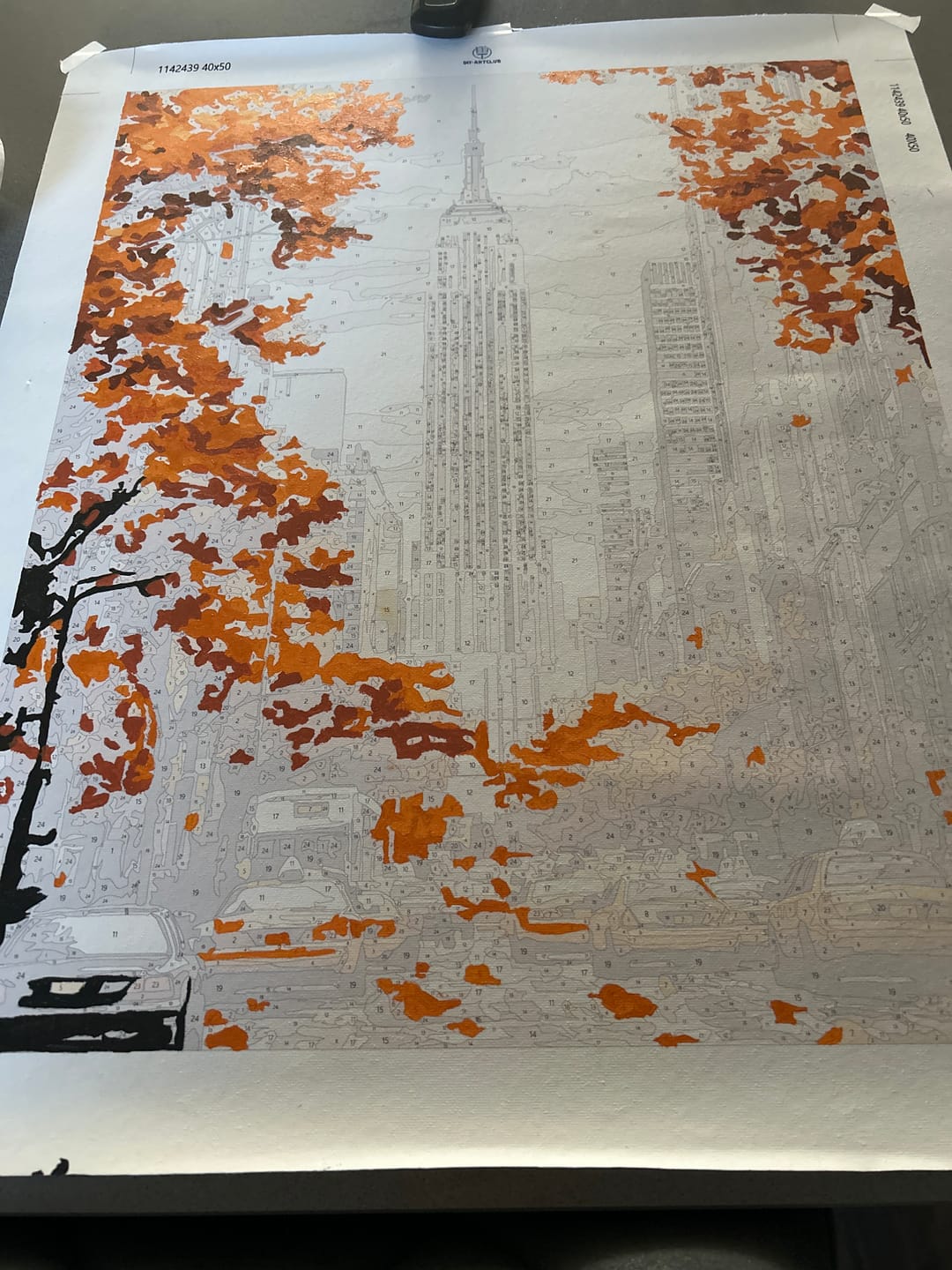 Customer photo review of Autumn in New York | Paint by Number