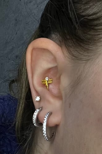 Customer photo review of Bee Ohr Piercing Gold