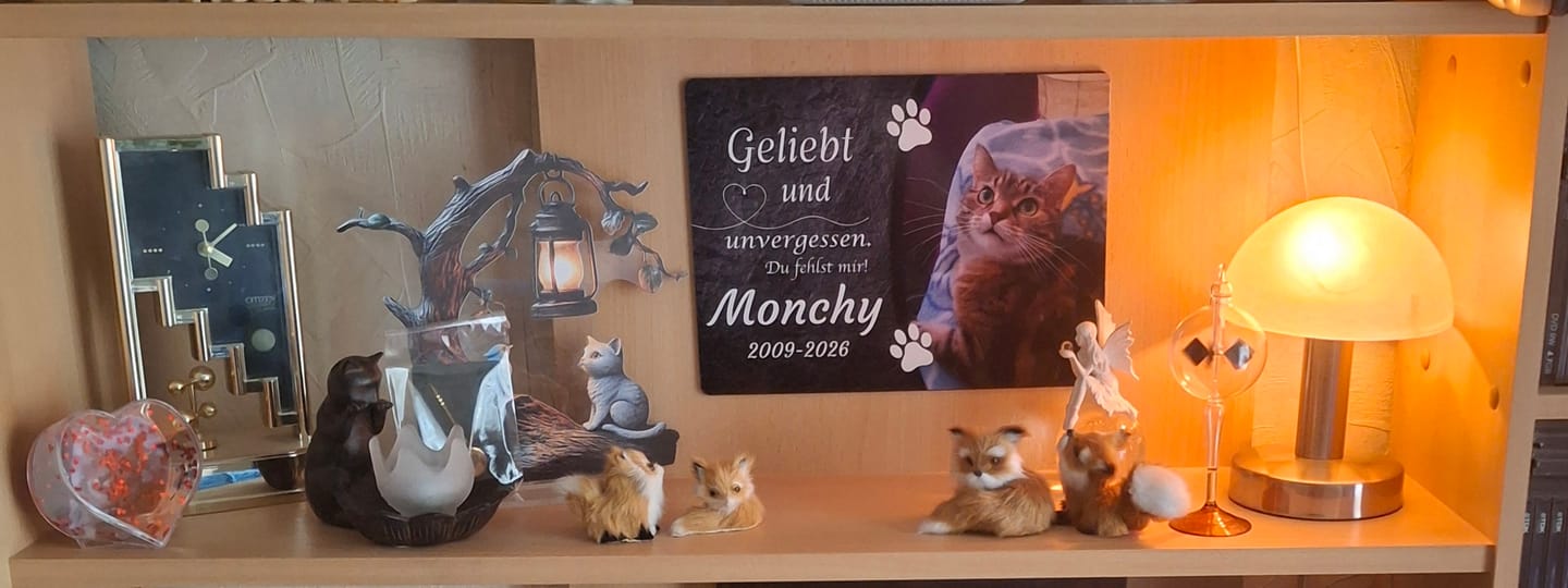 Customer photo review of Katzen Gedenktafel mit Foto & Spruch (UV- & Wetterfest)