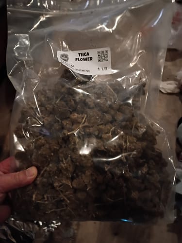 Customer photo review of THCA Flower Budget Buds
