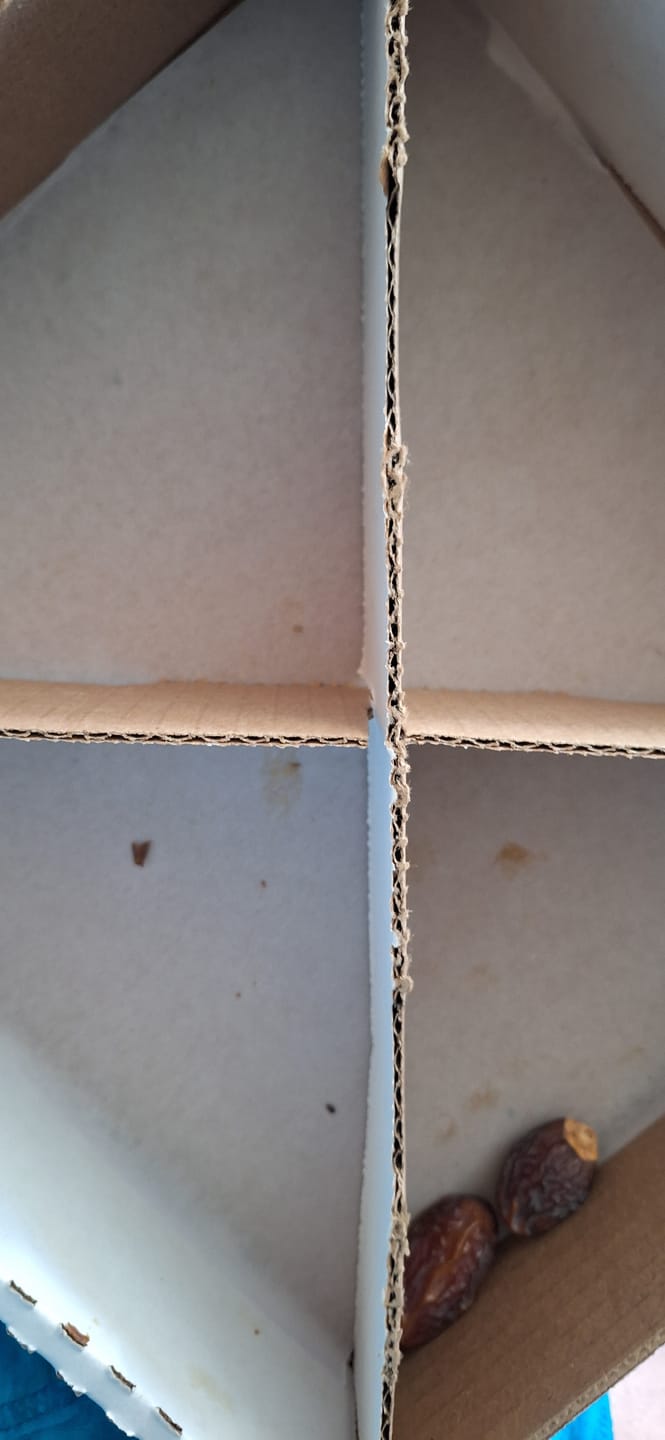 Customer photo review of Organic Mini Medjool Dates Box