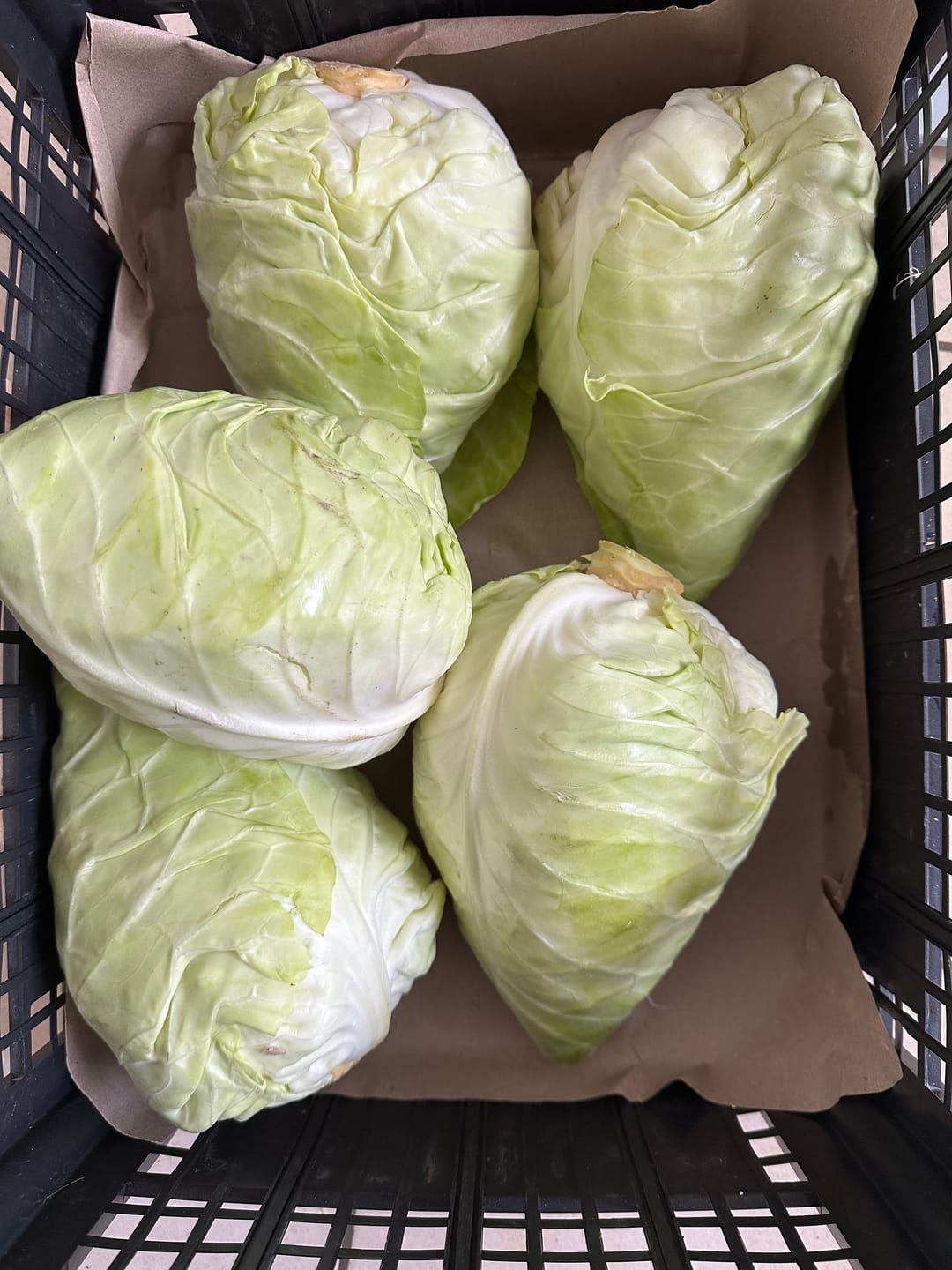 Customer photo review of Spitzkohl Biohof Finkes Bio regional ca.450 gr.