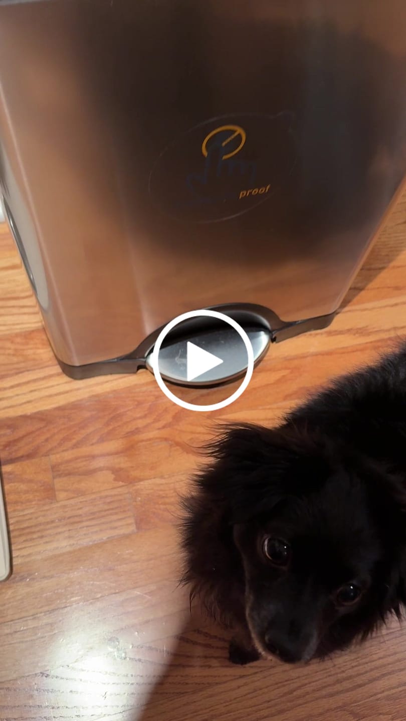 Customer video review of Freeze Dried Chicken (3.52 oz)