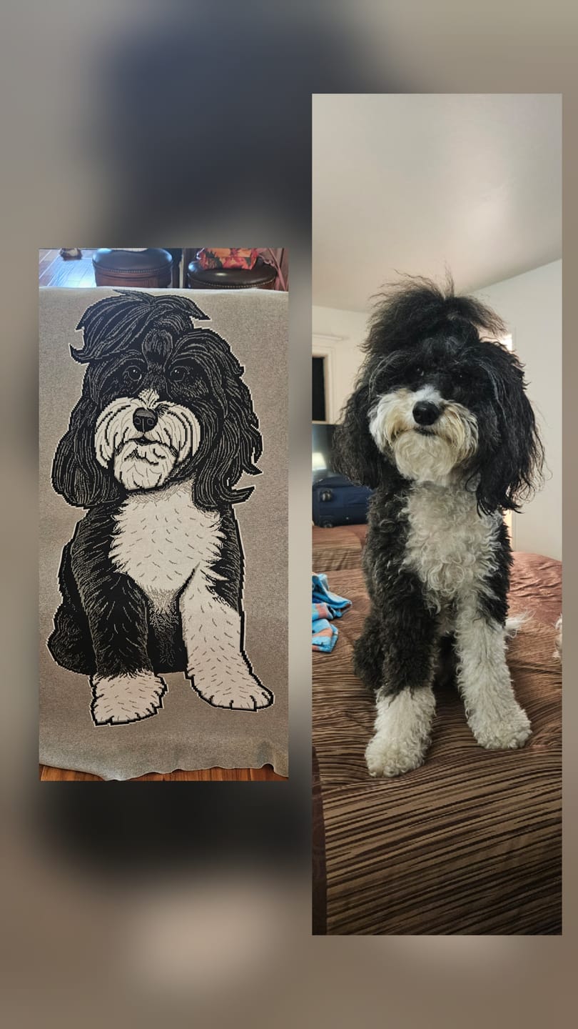 Customer photo review of Dog wearing Sweater - Custom Knitted Blanket