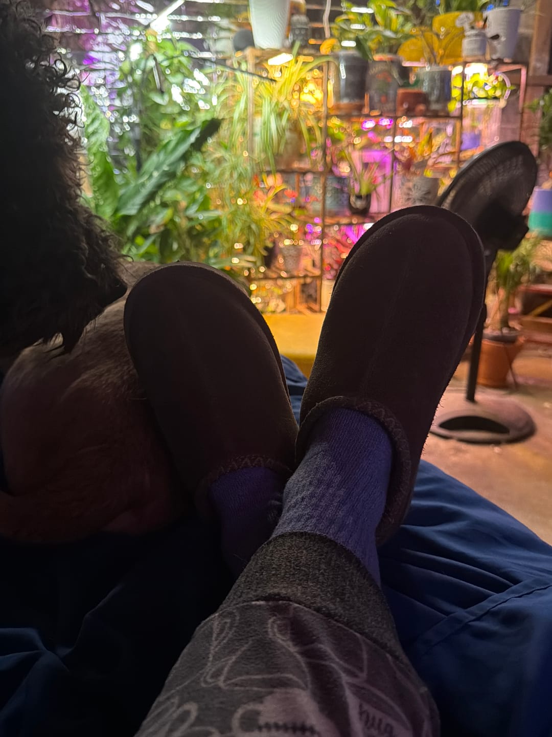 Customer photo review of MARTIS MOREL