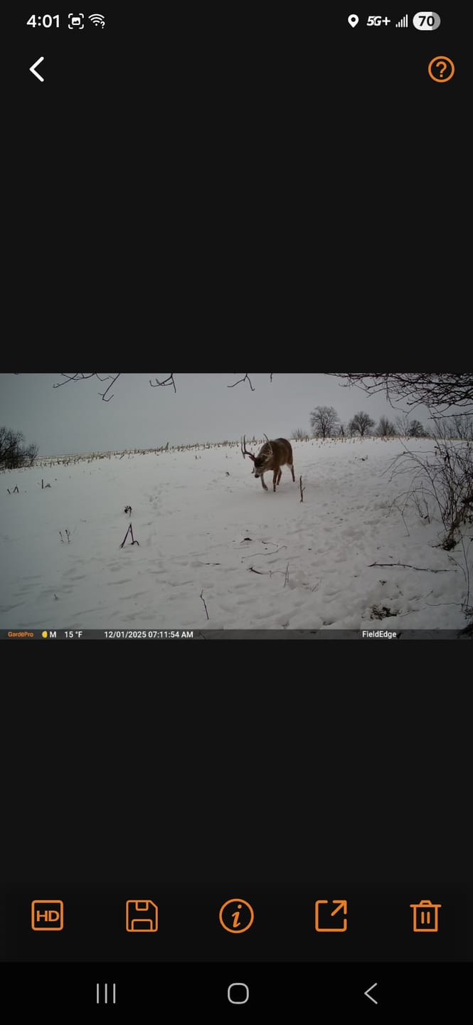 Customer photo review of GardePro X66 Pro Cellular Trail Camera-(USA/CA Model)