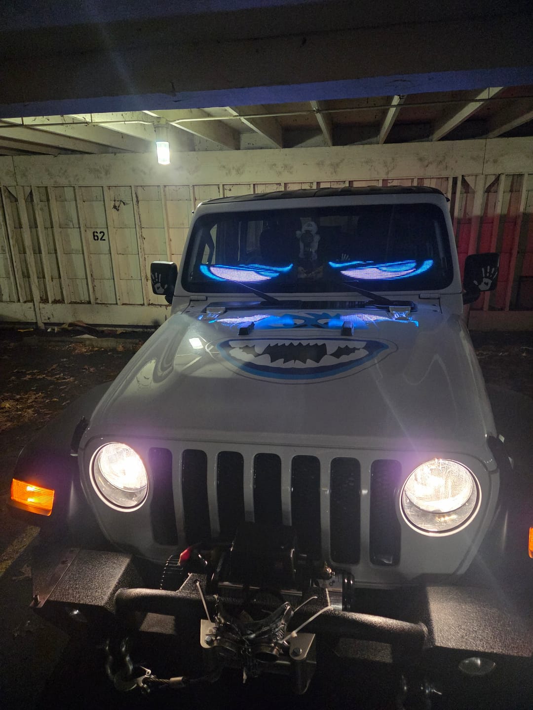Customer photo review of Electra Eyes - LED Animated Eyes