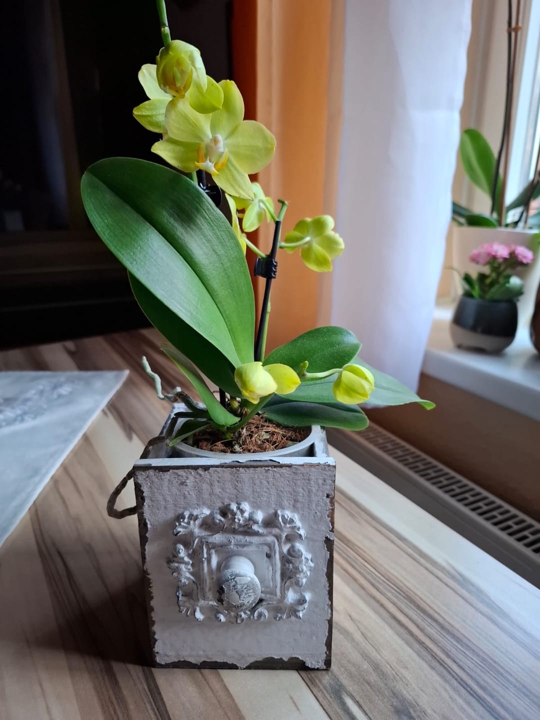 Customer photo review of Table Dance La Paz mit gelben Blüten und 2 Rispen