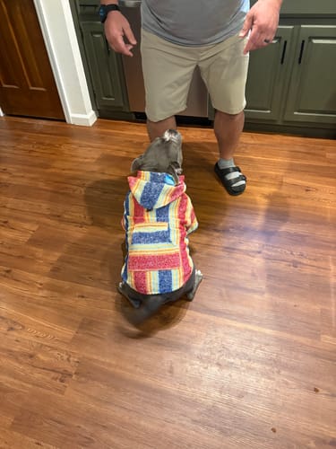 Customer photo review of Free & Easy Return or Exchange Coverage + Package Protection