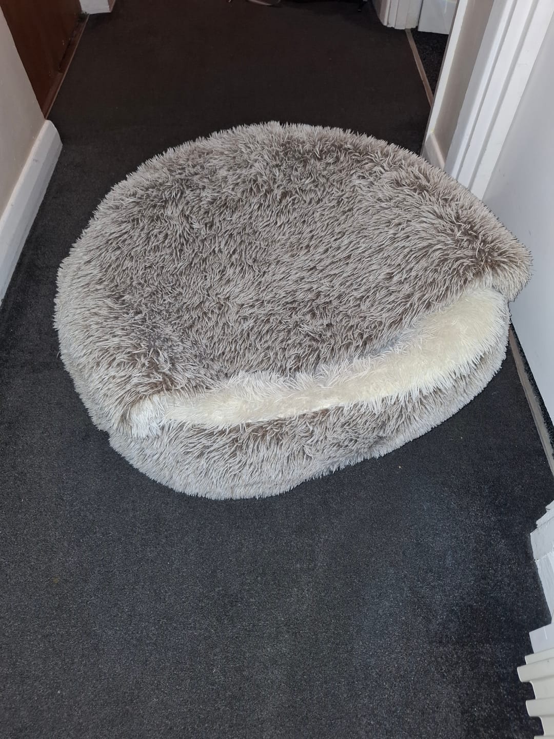 Customer photo review of Burrow Buddy™ - Pet Bed