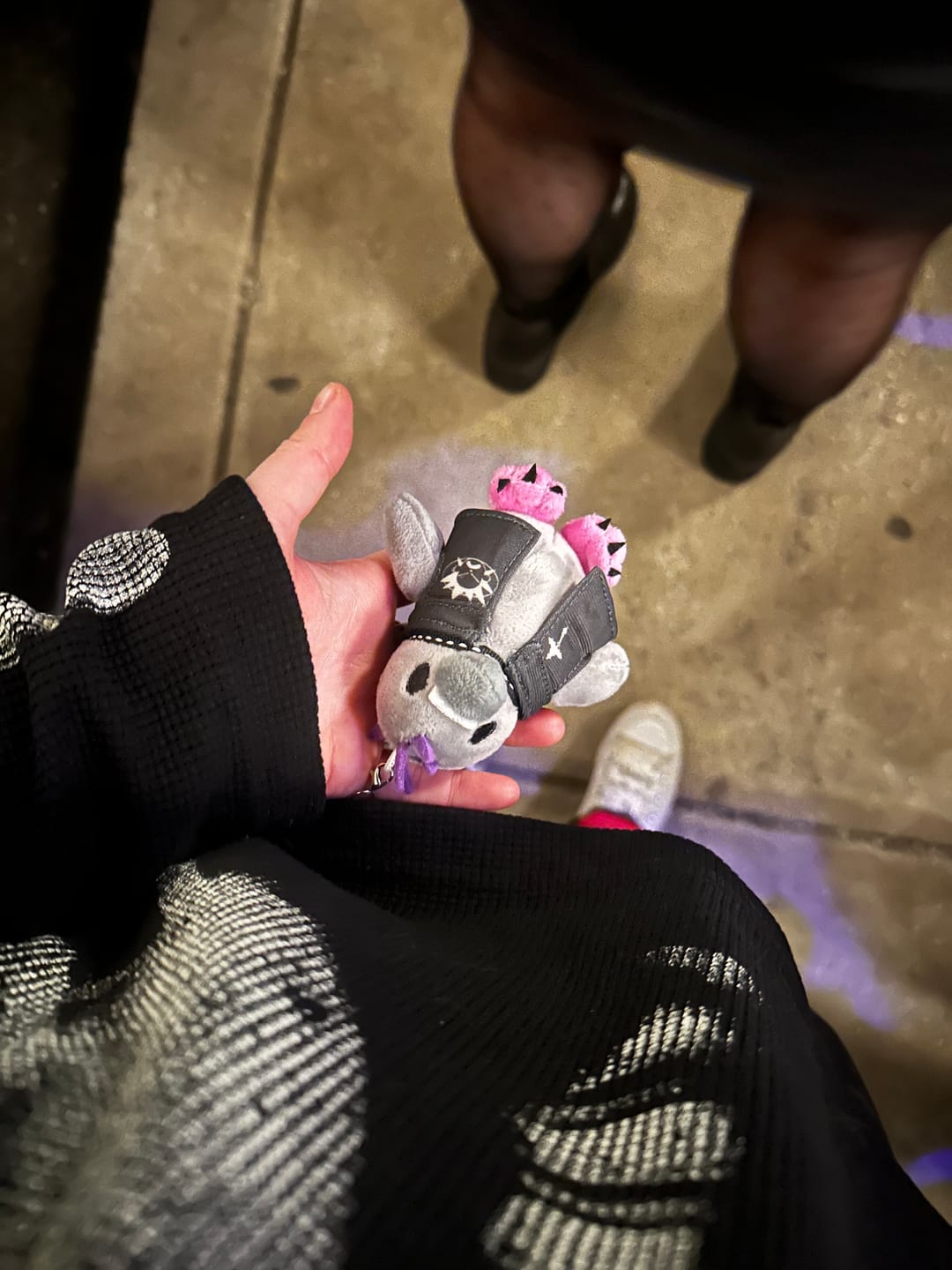 Customer photo review of MINI PLUSHIES