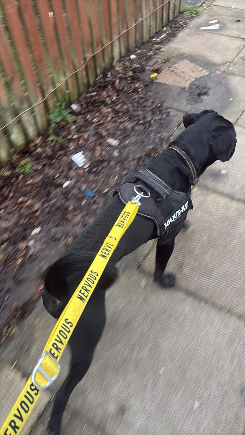 Customer photo review of Awareness Multi-Way Lead